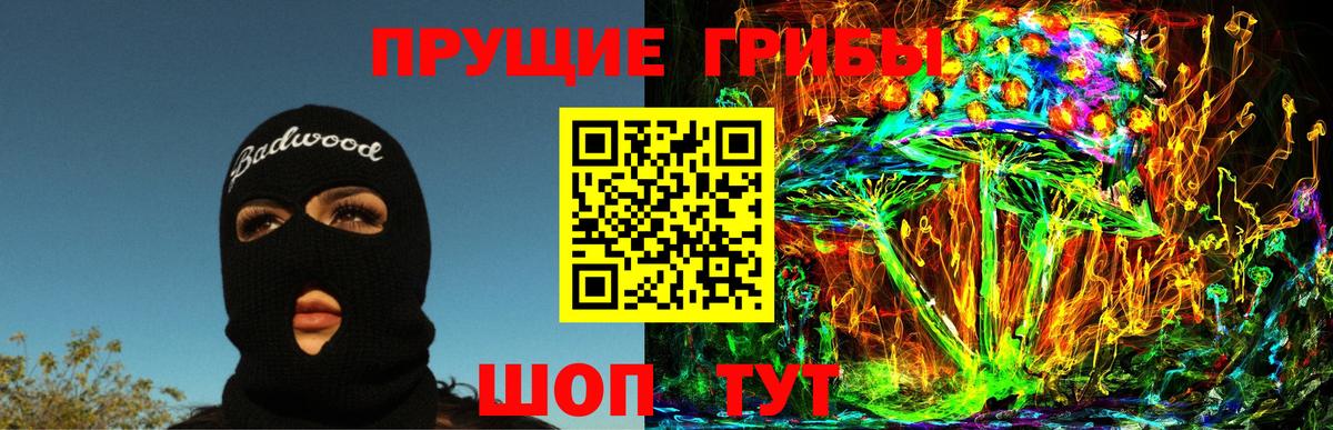 Псилоцибиновые грибы Cubensis  Вход с VPN  Знаменск 